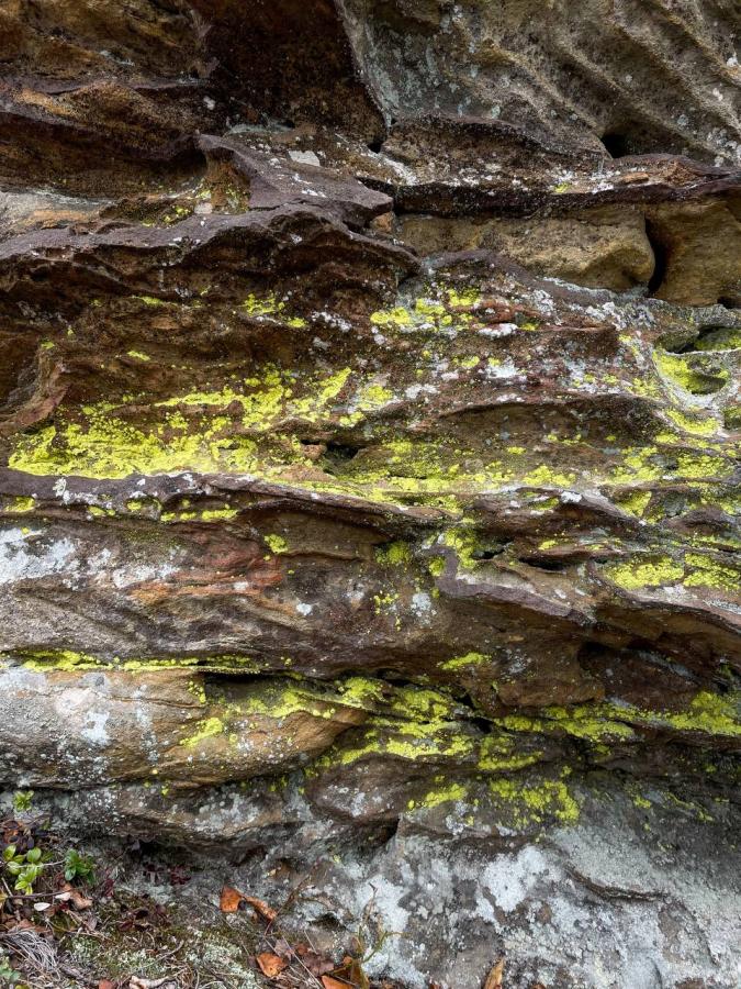 Каменный город и Белый камень!