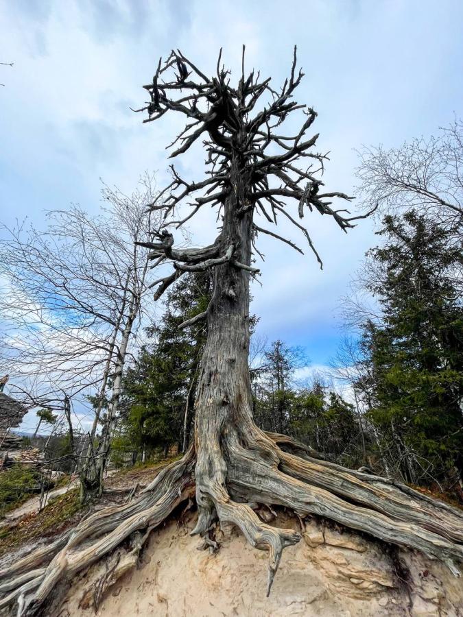 Каменный город и Белый камень!
