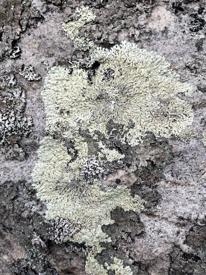 Каменный город и Белый камень!