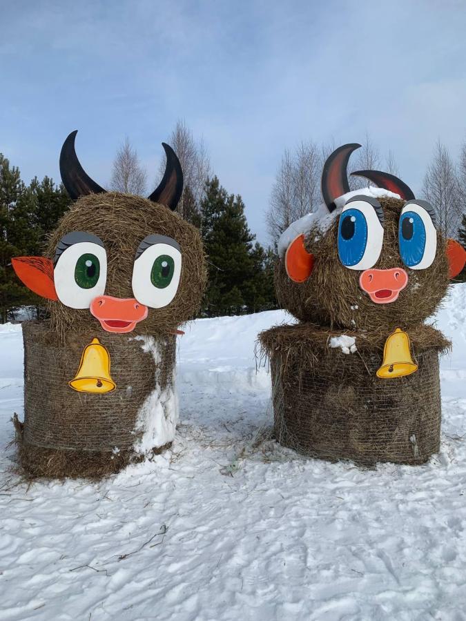 Конная прогулка до берега реки Кама