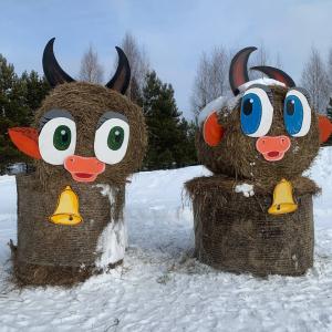 Конная прогулка до берега реки Кама