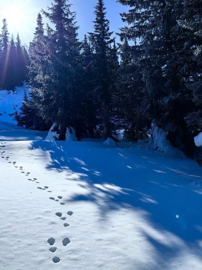 Природный парк "Иремель". Гора Большой Иремель 1582 м. с заброской на УАЗах!