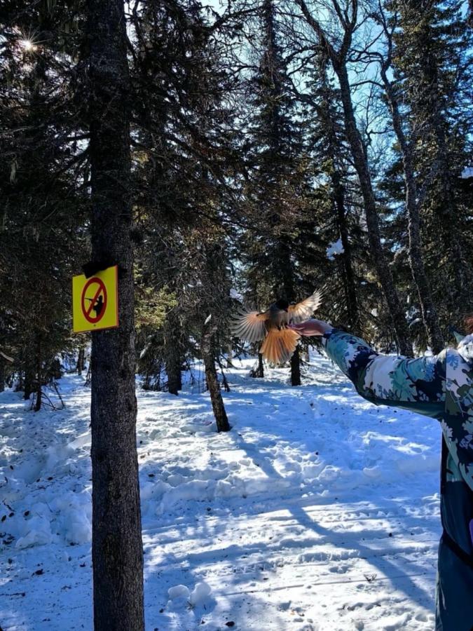 Природный парк "Иремель". Гора Большой Иремель 1582 м. с заброской на УАЗах!