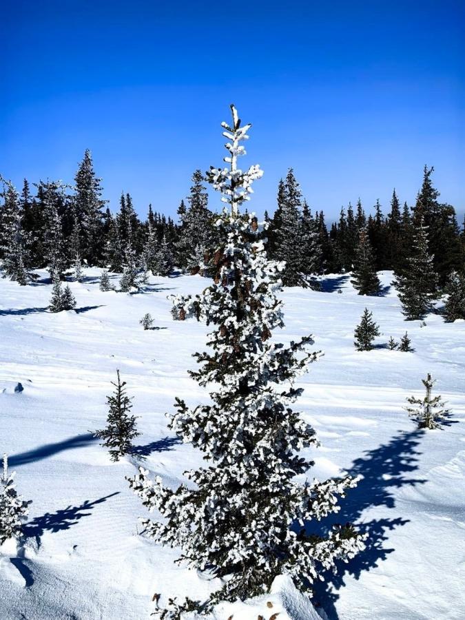 Природный парк "Иремель". Гора Большой Иремель 1582 м. с заброской на УАЗах!