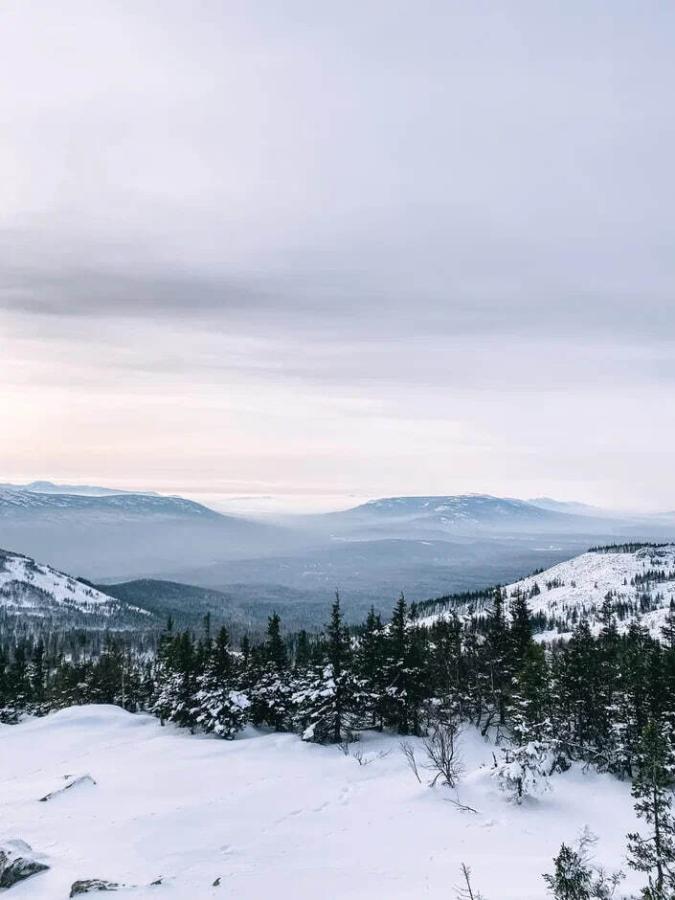 Национальный парк "Зюраткуль". Гора Уван 1222м, дом лося Сохатка и Ледяной фонтан!