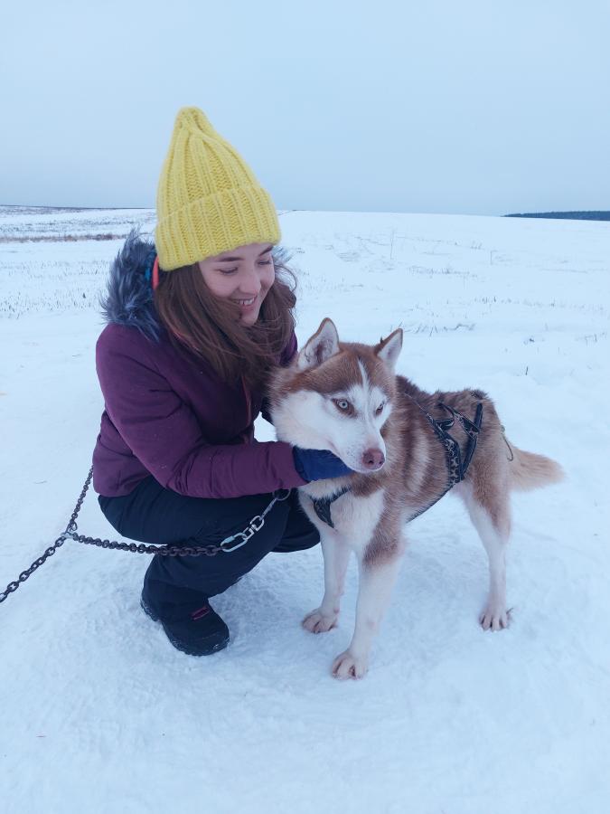 Масленица с катанием на собачьих упряжках в Хаски-центре "Уральский Олимп"