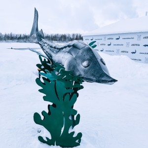 Гастротур: "Царская уха" и "Барская икра". Посещение семейной осетровой фермы в Добрянке + Царский обед