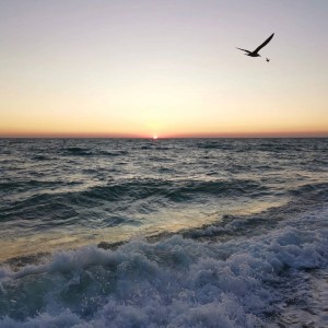 Ж/Д тур в Витязево. Гостевой дом "Скифия" На море 10 дней!