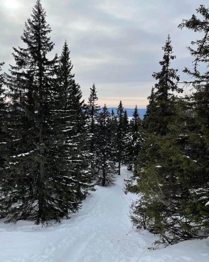 Национальный парк "Зюраткуль". Хребет Зюраткуль 1175м и Айские притёсы