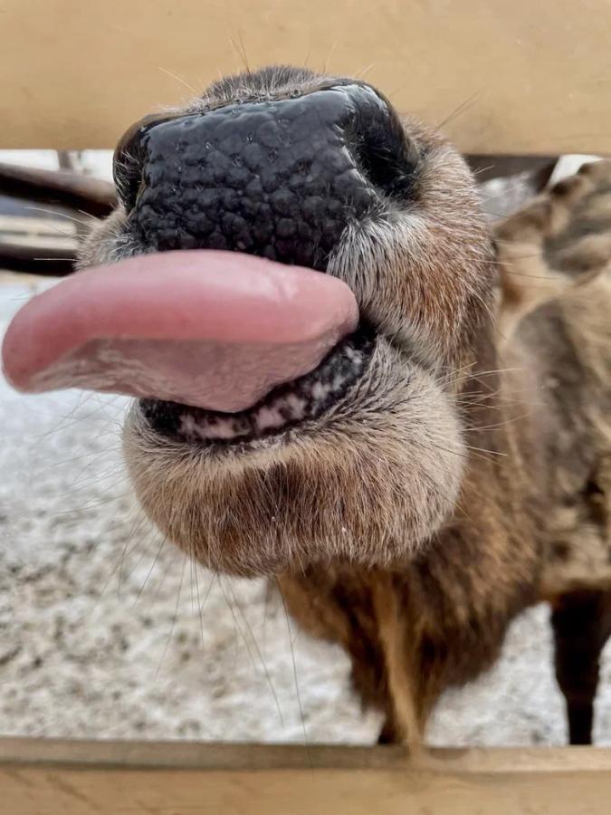 Национальный парк "Зюраткуль". Хребет Зюраткуль 1175м и Айские притёсы