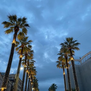 Экскурсионный тур «Легенды Самурзакана» (авиа/жд билеты не включены)