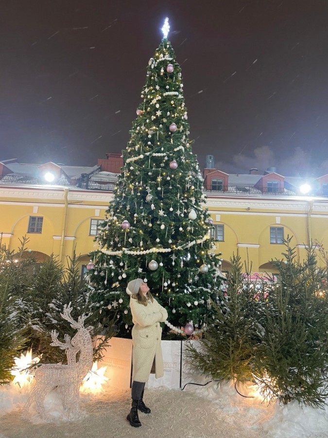 Новогодняя сказка в Петербурге (Стандарт)