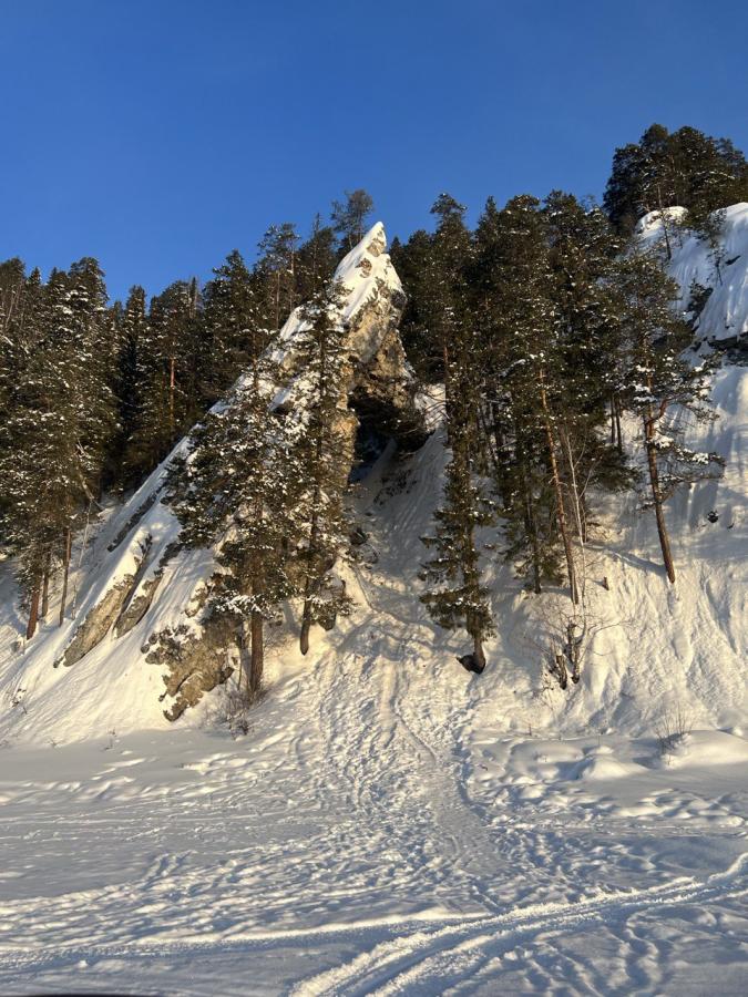 «Тайными тропами Усть-Койвы» с прогулкой на снегоходах (в санях)