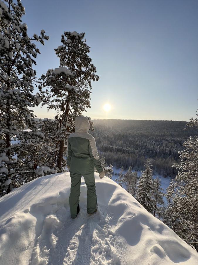 «Тайными тропами Усть-Койвы» с прогулкой на снегоходах (в санях)