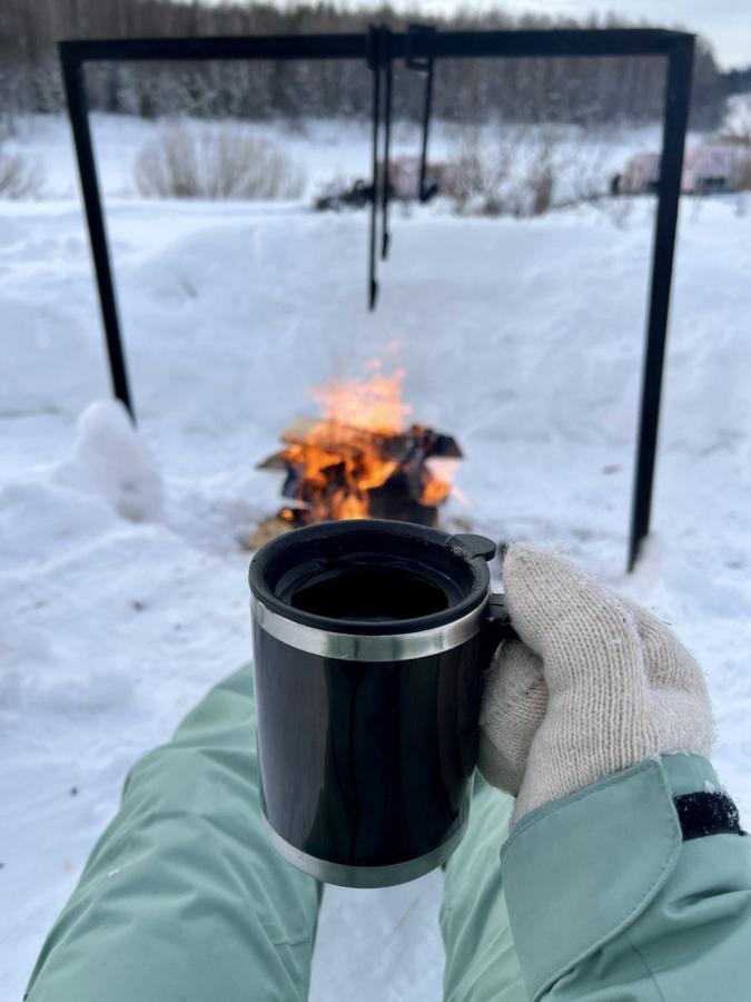 «Тайными тропами Усть-Койвы» с прогулкой на снегоходах (в санях)