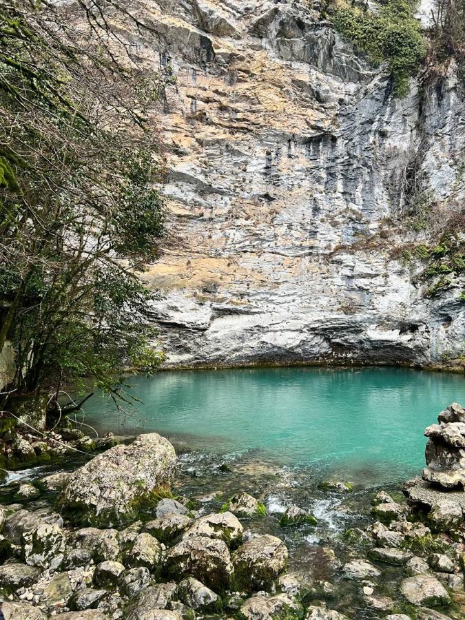 Новый Год в Сочи с новогодним банкетом