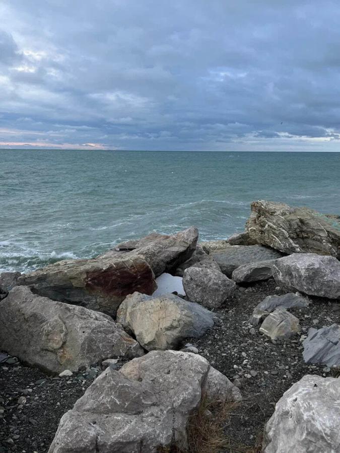 Рождество в Сочи