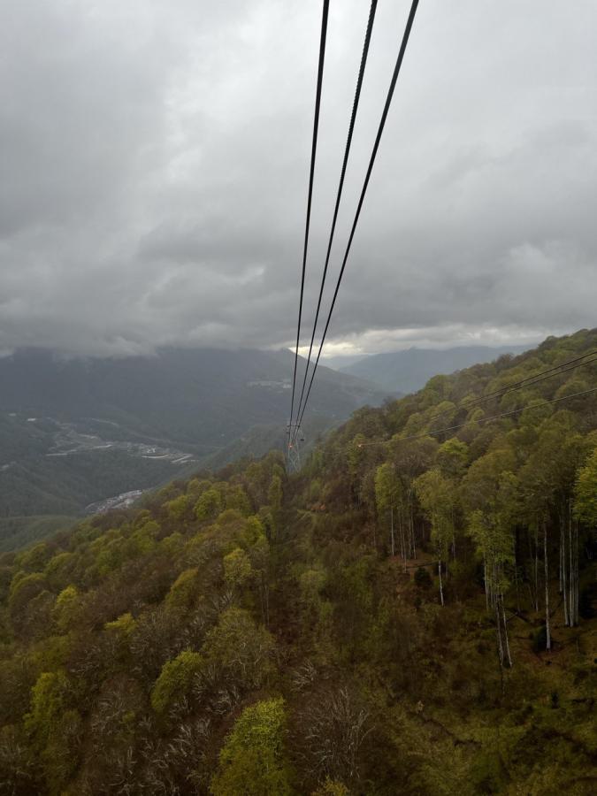 Рождество в Сочи