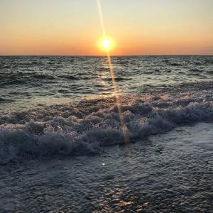 Автобусный тур в Сочи. Адлер,Гостевой дом "Домик у моря". На море 9 дней/8 ночей