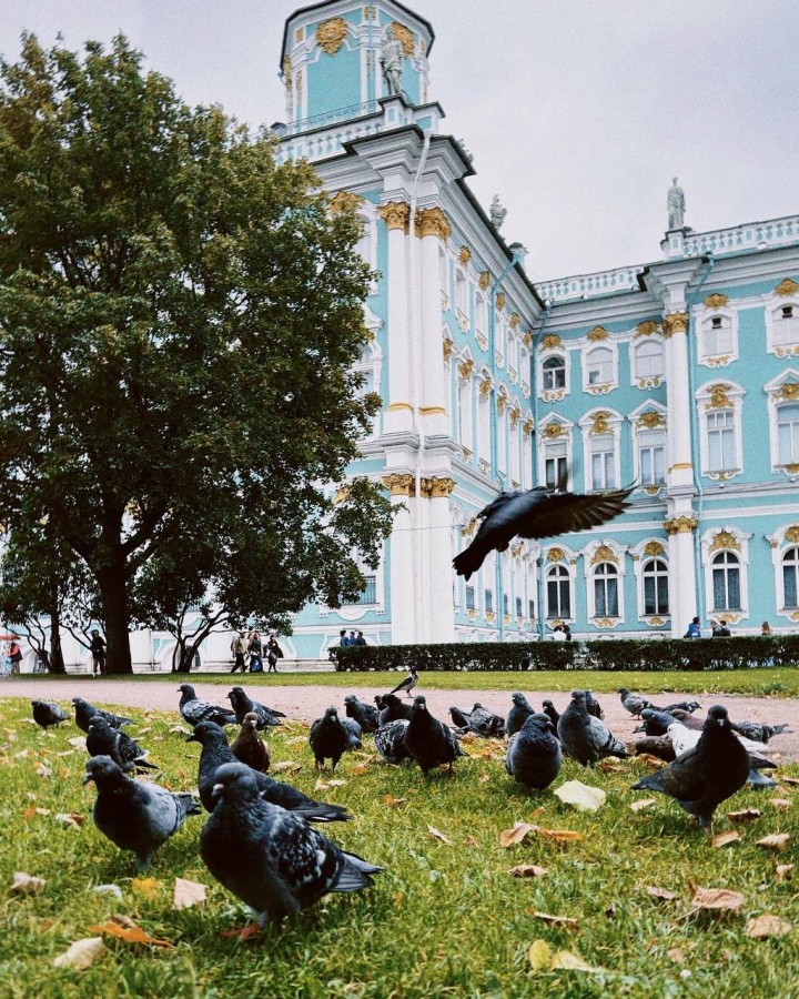 «Очарование Санкт-Петербурга и средневековый Выборг»