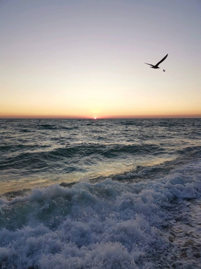 Автобусный Тур в Анапу из Перми, Отель "Робинзон" 10 ночей на море!