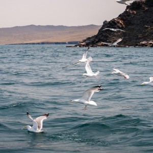 Тур "Знакомство с Байкалом" на 6 дней/5 ночей (авиа/жд билеты не включены)