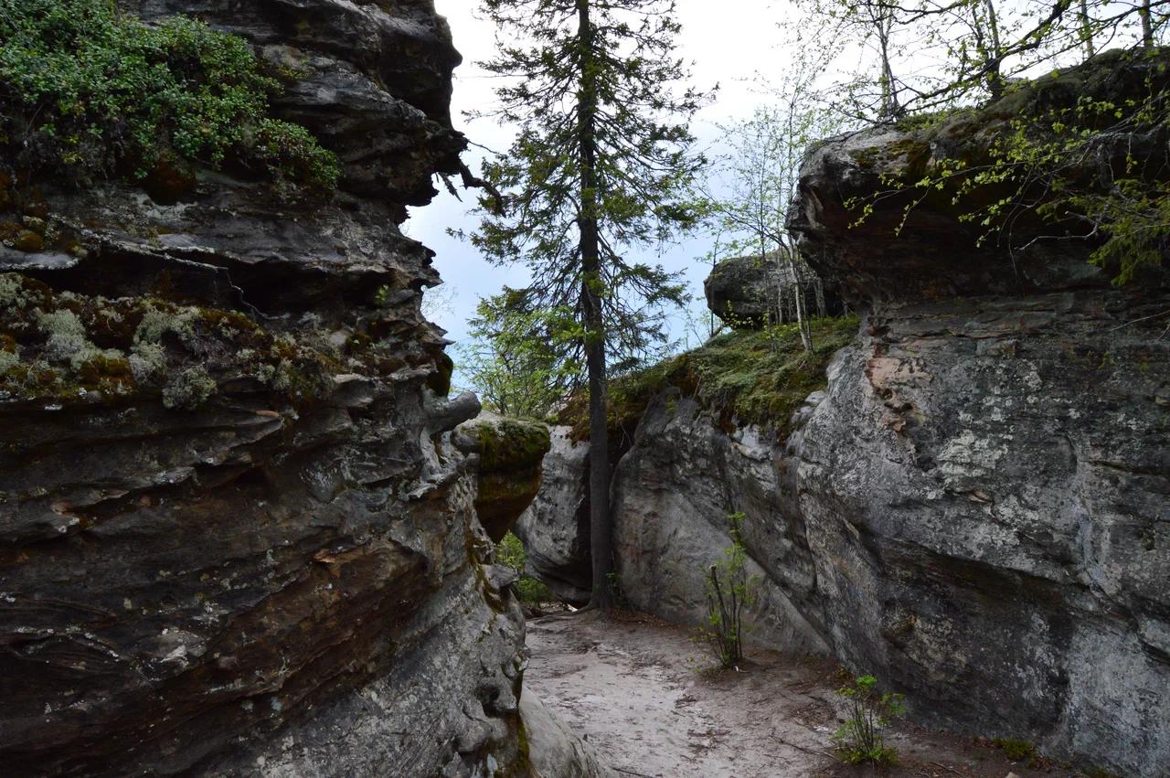Легенды Перми Великой 5 дней/ 4 ночи