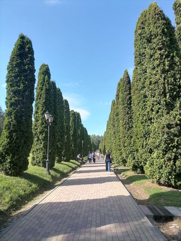 Курортный роман 8 дней/7 ночей + дорога