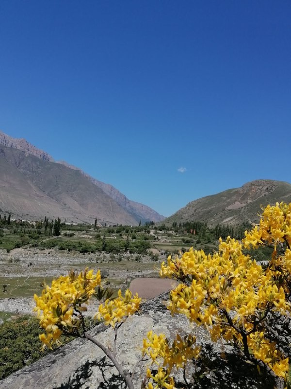 Курортный роман 8 дней/7 ночей + дорога