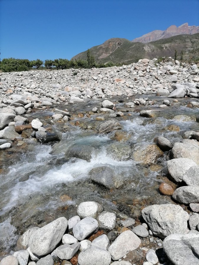 Курортный роман 8 дней/7 ночей + дорога