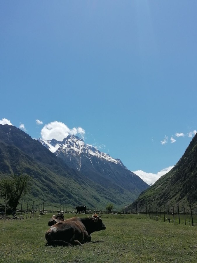 Курортный роман 8 дней/7 ночей + дорога