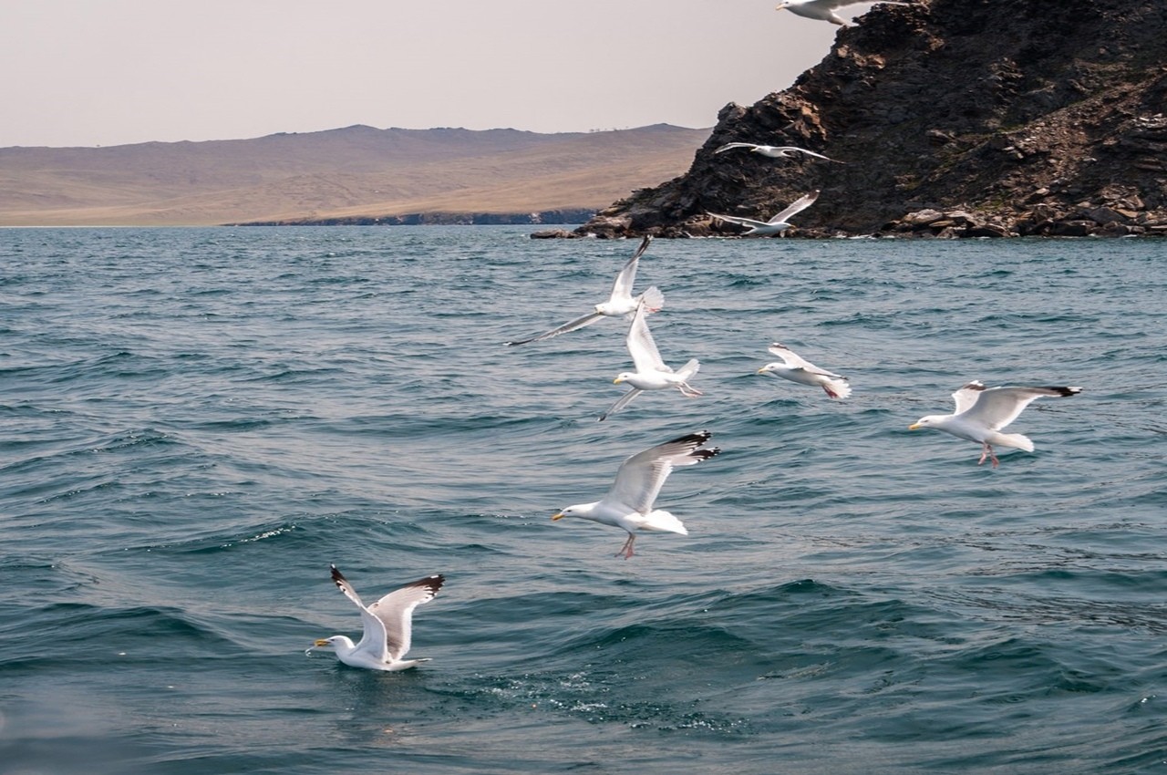 Тур "БАЙКАЛЬСКИЙ СТРАННИК" на 6 дней/5 ночей (авиа/жд билеты не включены)