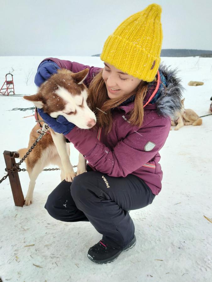 «Новогодняя сказка с Хаски» знакомство с хаски и катанием на собачьих упряжках