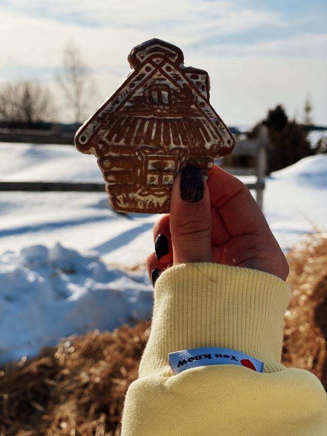 "Святки в Хохловке: страшные вечера" экскурсионная программа в АЭМ "Хохловка"