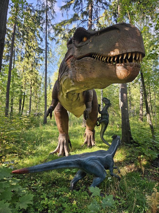 Ижевский Зоопарк или Ижевский Динопарк + Воткинские термы