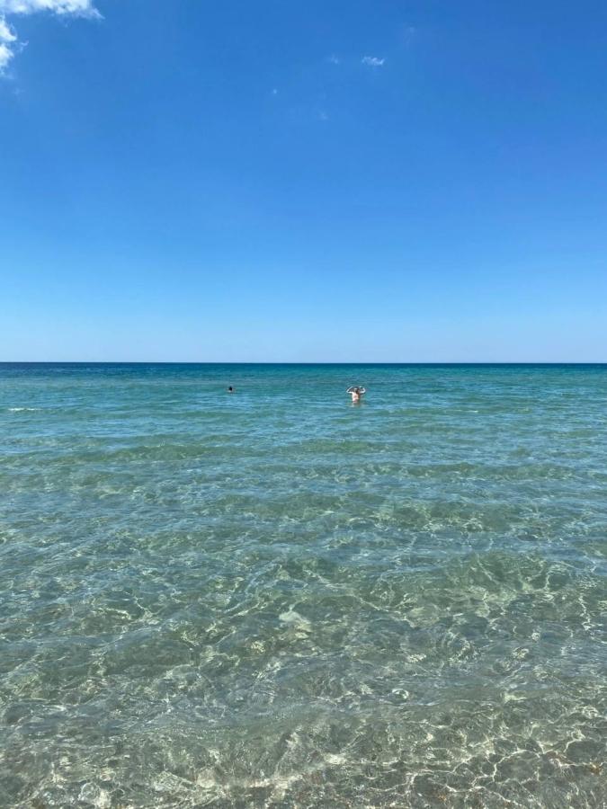 Автобусный тур в Крым. Судак, Гостевой дом "Озенбаш". На море 10 ночей