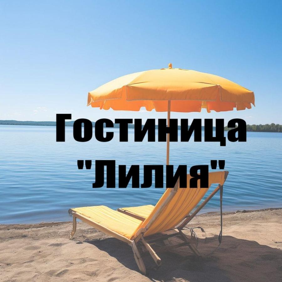 Соль-Илецк. Гостевой дом "Лилия"