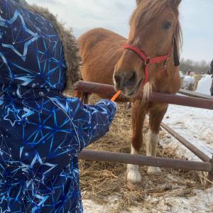 Конная прогулка верхом в клубе "Слобода" с обедом