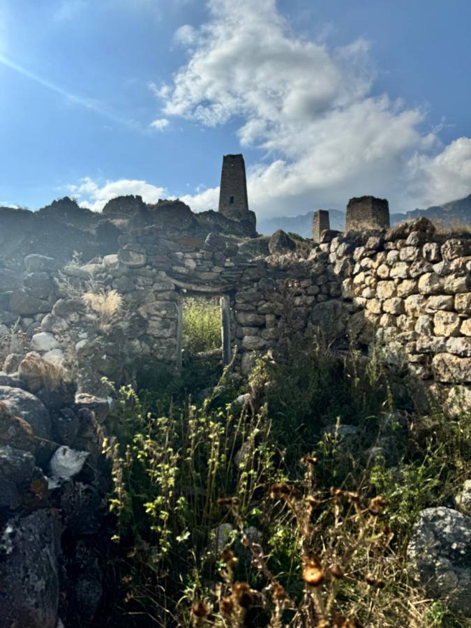 Новогодние каникулы в Осетии (авиа/жд билеты не включены)