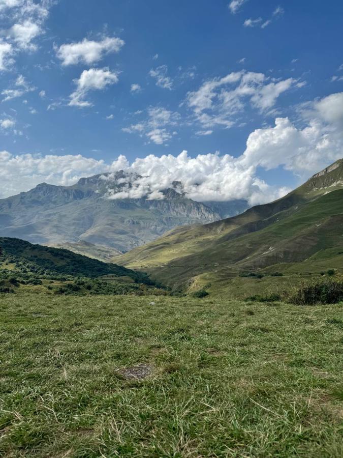 Новогодние каникулы в Осетии (авиа/жд билеты не включены)