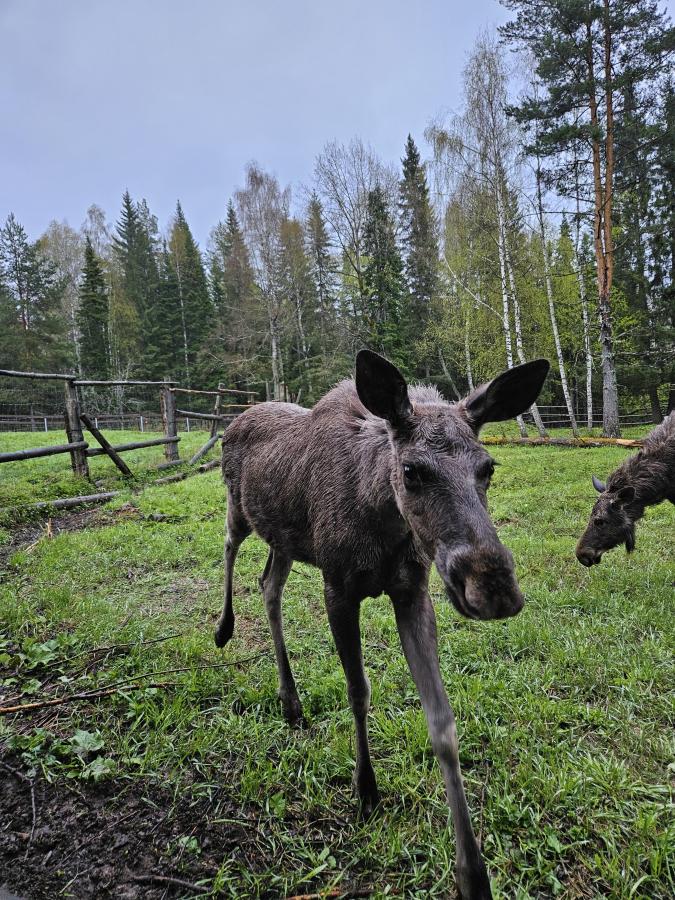Озеро Зюраткуль и Айские притесы