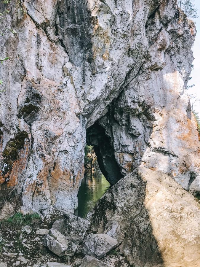 Природный парк "Оленьи ручьи"
