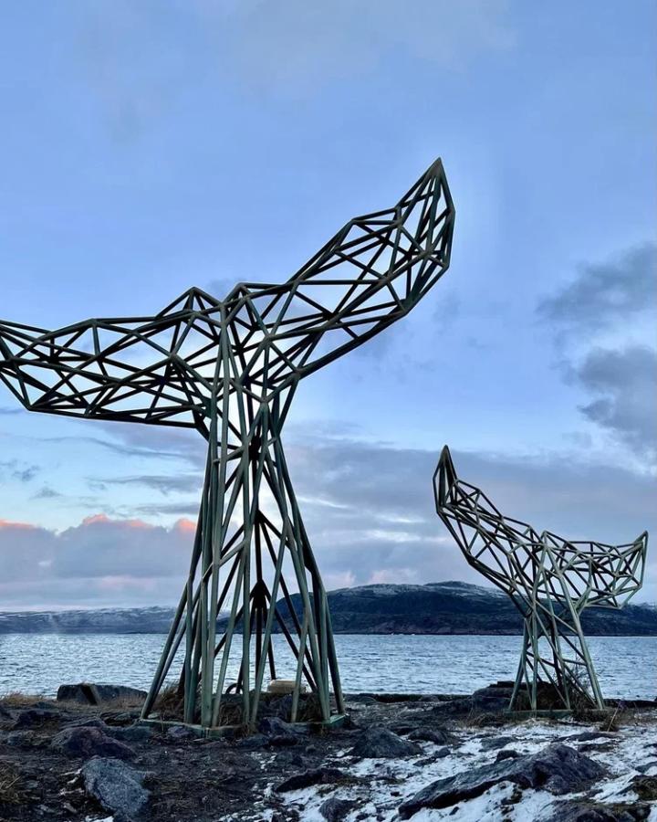 Новый год на Кольском полуострове "От Баренцева до Белого моря 2026" (Авиа и ЖД билеты не включены)