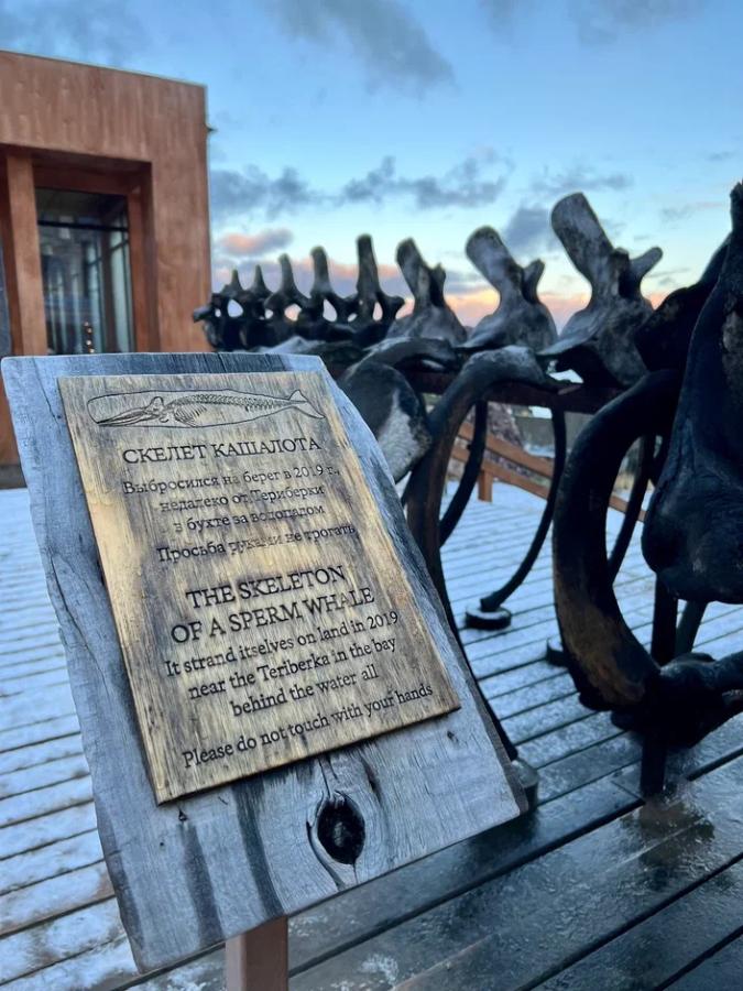 Новый год на Кольском полуострове "От Баренцева до Белого моря 2026" (Авиа и ЖД билеты не включены)