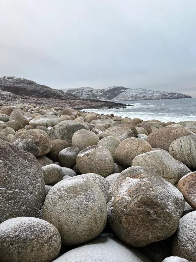 Новый год на Кольском полуострове "От Баренцева до Белого моря 2026" (Авиа и ЖД билеты не включены)