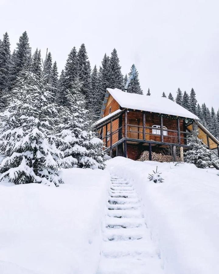 Загадки древней Пармы. Мультитур по Пермскому краю