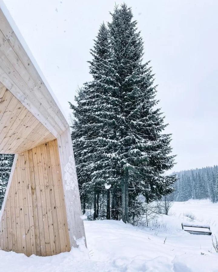 Загадки древней Пармы. Мультитур по Пермскому краю