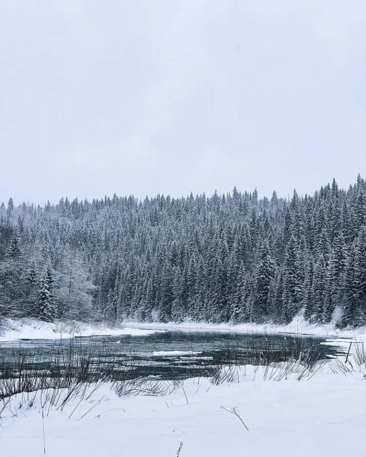 Загадки древней Пармы. Мультитур по Пермскому краю