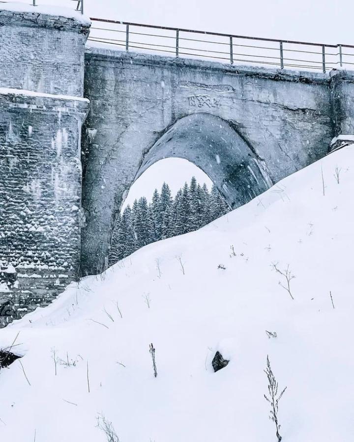 Загадки древней Пармы. Мультитур по Пермскому краю