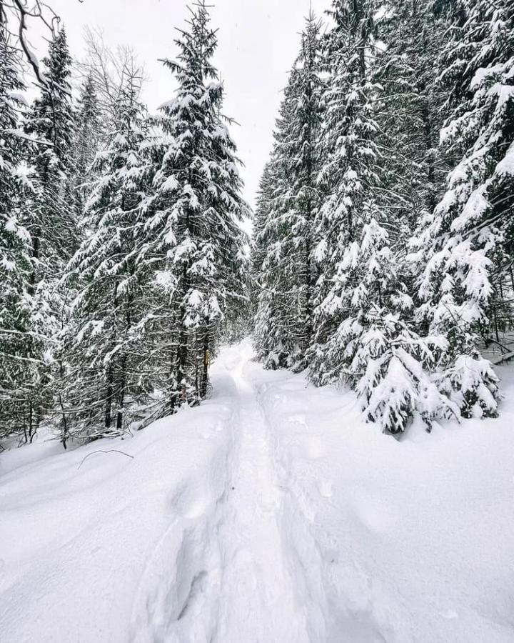 Загадки древней Пармы. Мультитур по Пермскому краю